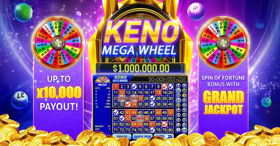 6r game 655 bet cassino entretenimento